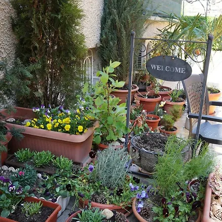 Guest house Lambovi - Lyubomir Lambov